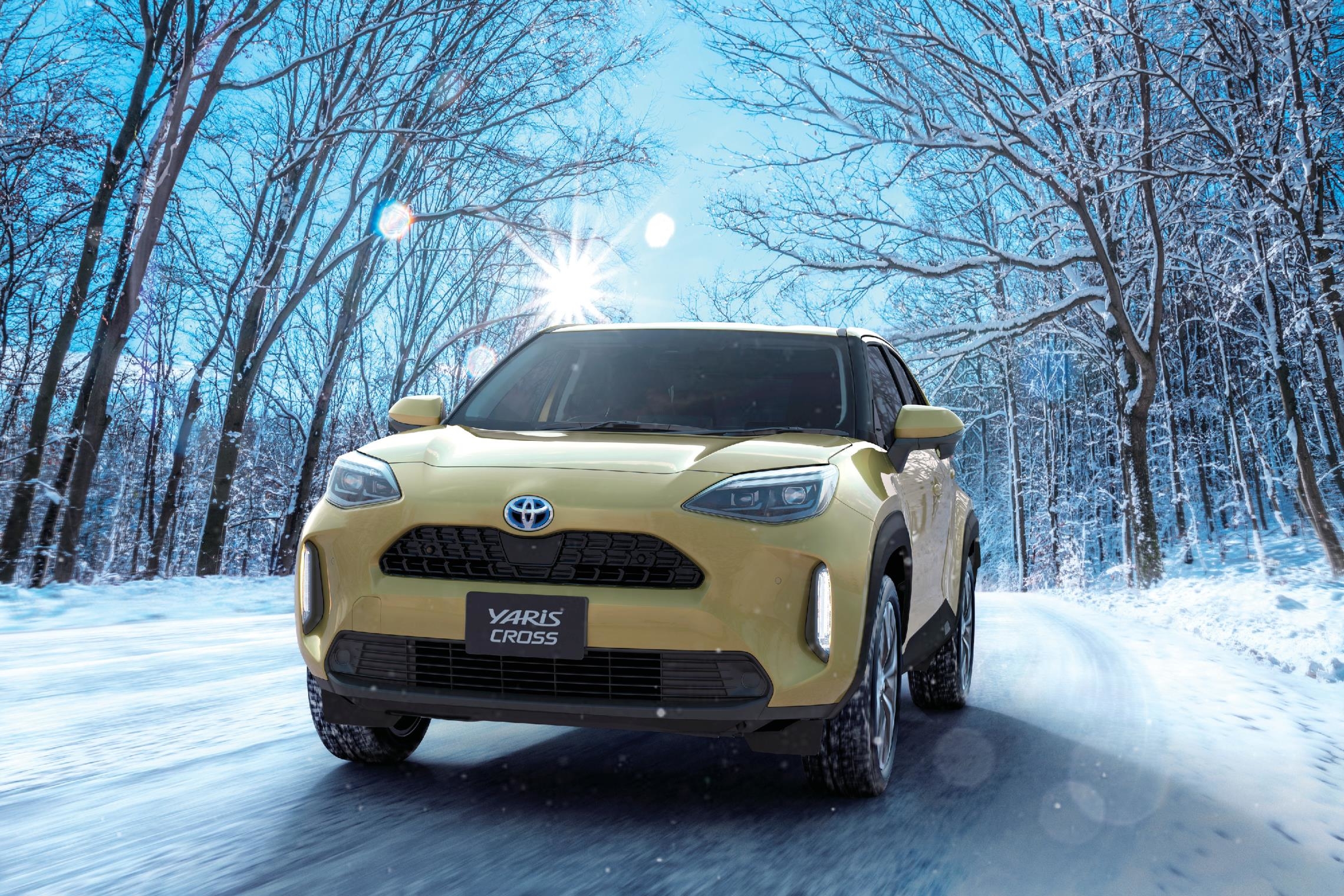 トヨタカローラ福井