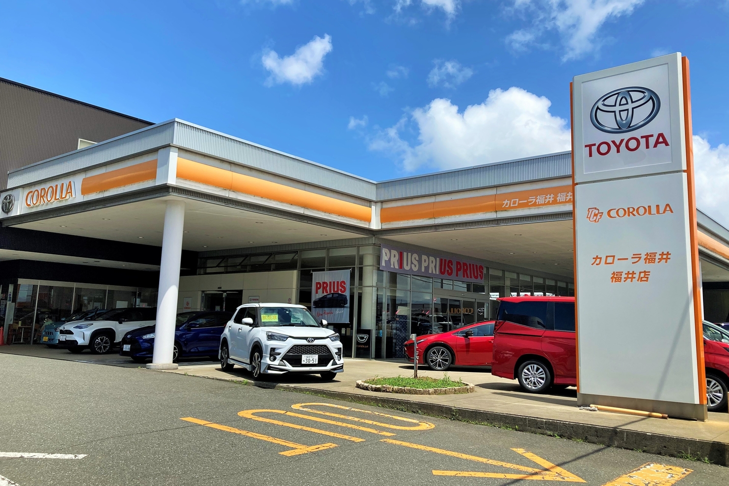 5005628_福井店