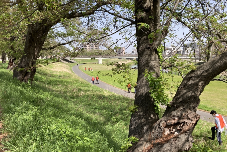 足羽川清掃活動 (16)