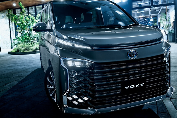 voxy