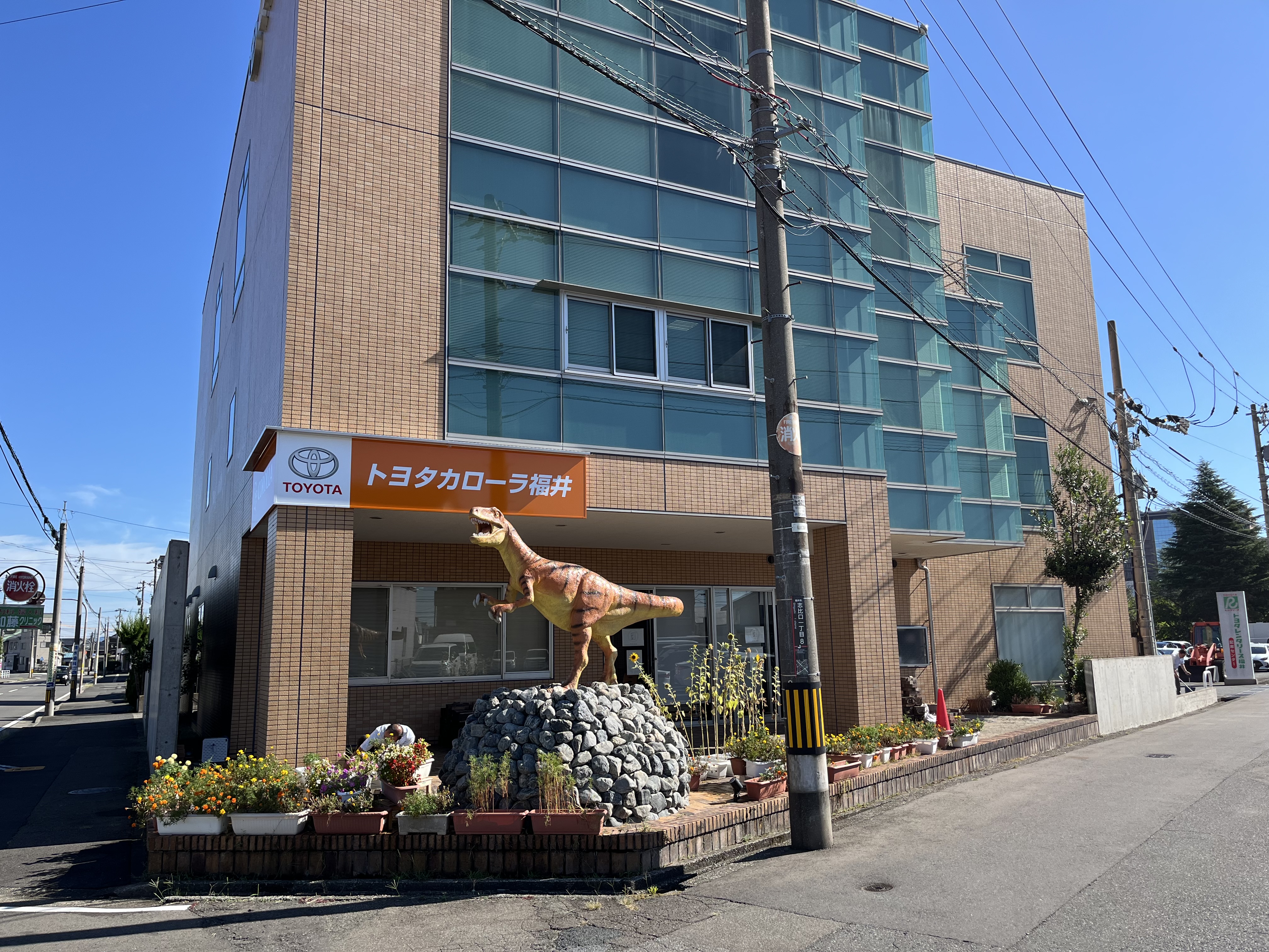 トヨタカローラ福井 本社