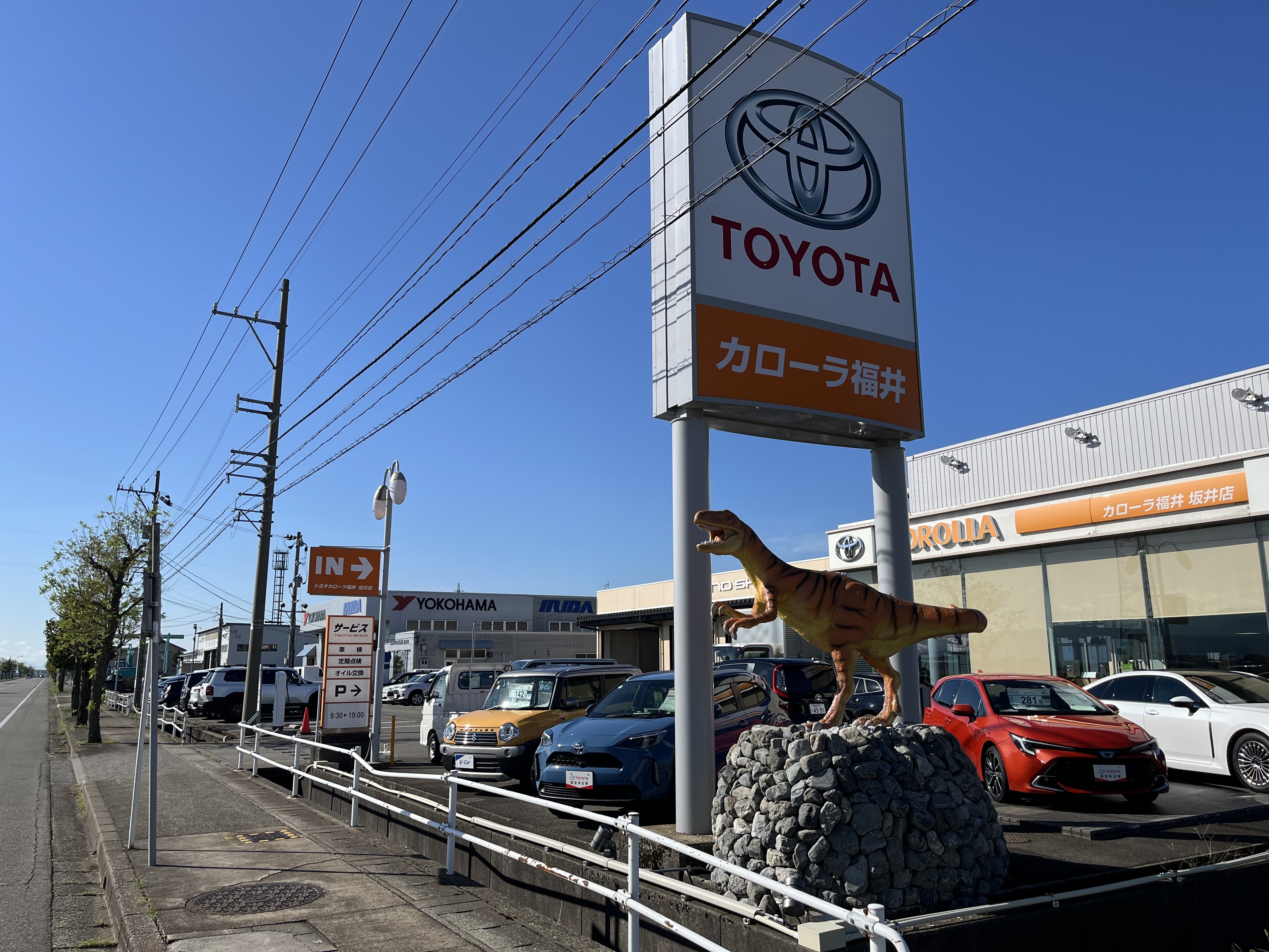 坂井店
