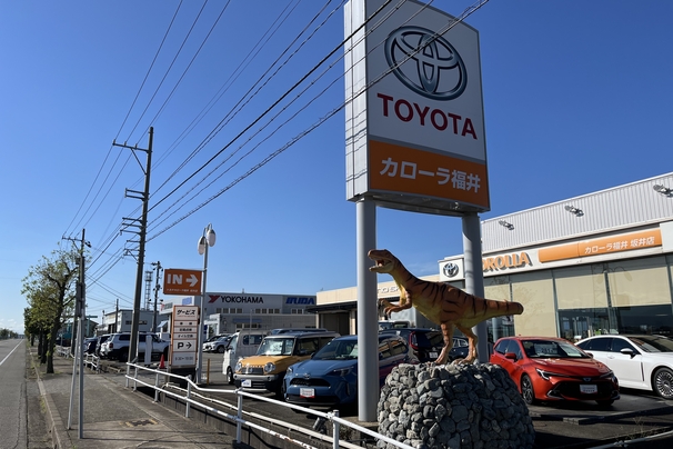 坂井店 (3)