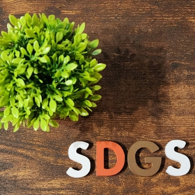 SDGｓ
