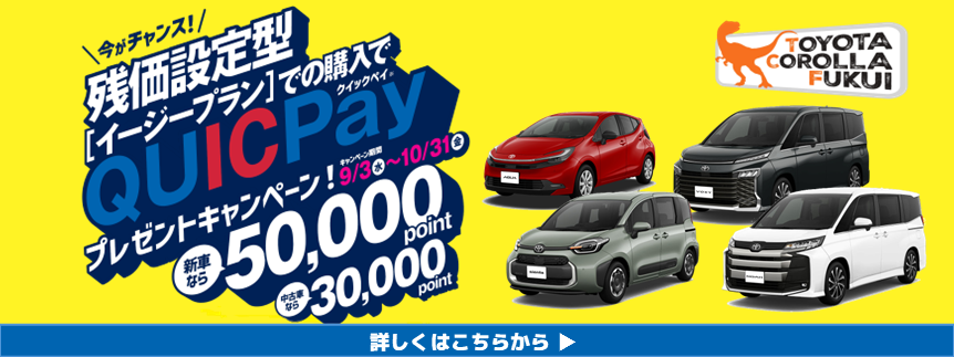 QuickPAYCP